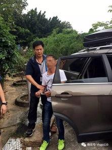 德庆县爆料新闻最新  第1张